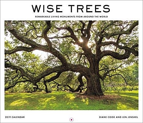 Wise Trees 2019 Wall Calendar: Remarkable Living Monuments from Around the World (Wall)