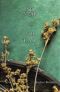 So Near and So Far (Paperback)