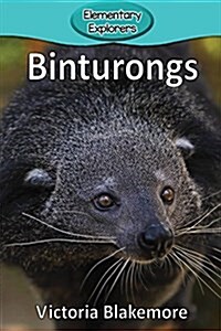 Binturongs (Paperback)