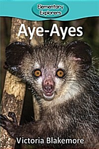 Aye-Ayes (Paperback)