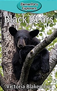 Black Bears (Hardcover)