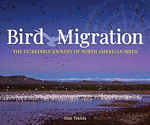 Bird Migration: The Incredible Journeys of North American Birds (Paperback)