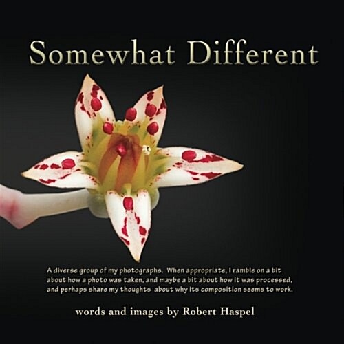 Somewhat Different: Diverse Photography of Robert Haspel (Paperback)