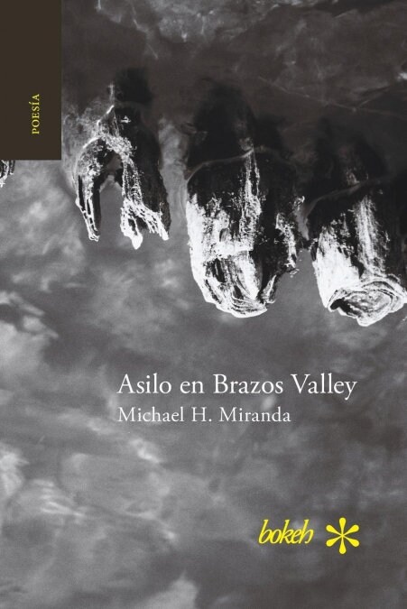 Asilo En Brazos Valley (Paperback)