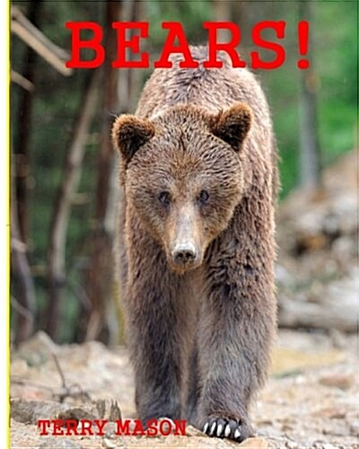 Bears: Childrens Book about Bears -Learn about Bears Behaviour and Enjoy Many Great Pictures (Paperback)