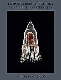 Guido Mocafico: Leopold & Rudolf Blaschka: The Marine Invertebrates (Hardcover)