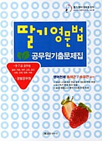 2011 딸기영문법 공무원기출문제집