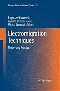 Electromigration Techniques: Theory and Practice (Paperback, 2013)