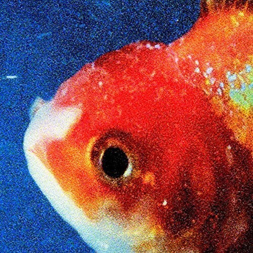 [수입] Vince Staples - 정규 2집 Big Fish Theory [픽쳐디스크 2LP]