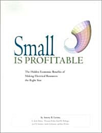 Small Is Profitable (Paperback)