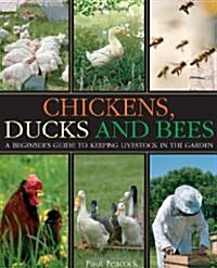 Chickens, Ducks and Bees : A Beginners Guide to Keeping Livestock in the Garden (Paperback)