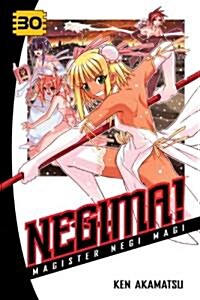 Negima!, Volume 30: Magister Negi Magi (Paperback)