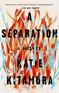 A Separation (Paperback, Reprint)