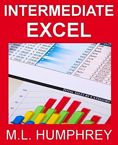 Intermediate Excel (Paperback)