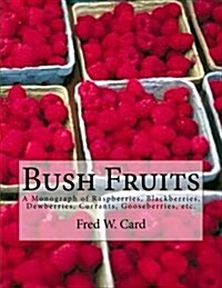 Bush Fruits: A Monograph of Raspberries, Blackberries, Dewberries, Currants, Gooseberries, etc. (Paperback)