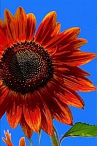 Red Sunflower Summer Journal: 150 Page Lined Notebook/Diary (Paperback)