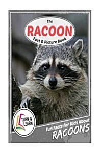 The Raccoon Fact and Picture Book (Paperback)
