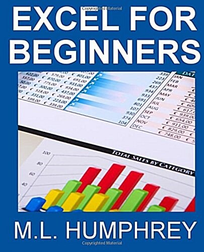 Excel for Beginners (Paperback)