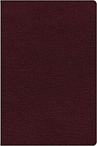 NIV, Biblical Theology Study Bible, Bonded Leather, Burgundy, Comfort Print: Follow Gods Redemptive Plan as It Unfolds Throughout Scripture (Bonded Leather)