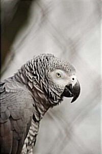 African Grey Parrot Journal: 150 Page Lined Notebook/Diary (Paperback)