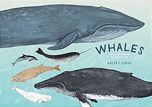 Whales: An Illustrated Celebration (Hardcover)