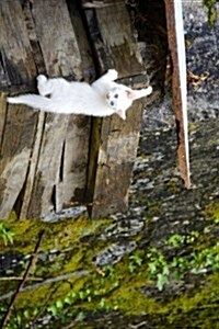 Little White Kitty Climbing Journal: Take Notes, Write Down Memories in this 150 Page Lined Journal (Paperback)