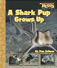 A Shark Pup Grows Up (Library)