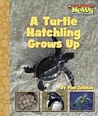 A Turtle Hatchling Grows Up (Library)