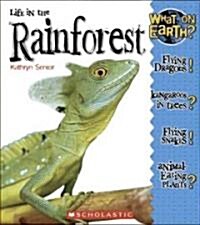 Life in a Rain Forest (Library Binding)