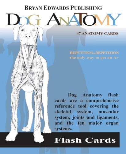 Dog Anatomy (Cards, RFC)
