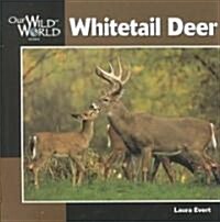 [중고] Whitetail Deer (Paperback)