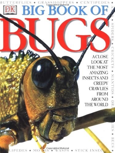 [중고] Big Book of Bugs (Hardcover)