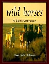 [중고] Wild Horses (Paperback)