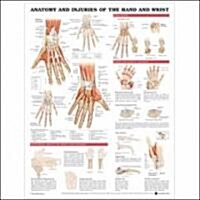 Anatomy & Injury Of Hand And Wrist Anatomical Chart (Chart)