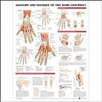 Anatomy and Injury Of Hand And Wrist Anatomical Chart (Chart, LAM)