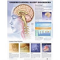 Understanding Sleep Disorders Anatomical Chart (Other)