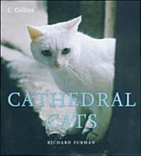 Cathedral Cats (Hardcover)