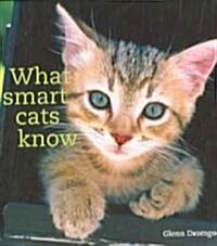 What Smart Cats Know (Hardcover)
