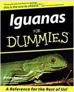 Iguanas for Dummies. (Paperback)
