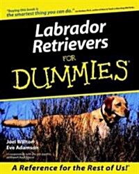 Labrador Retrievers for Dummies (Paperback)