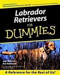 [중고] Labrador Retrievers for Dummies (Paperback)