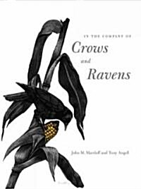 In The Company Of Crows And Ravens (Hardcover)