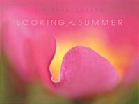 Looking for the Summer (Paperback)