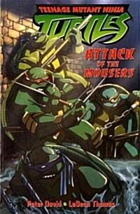 Teenage Mutant Ninja Turtles (Paperback)