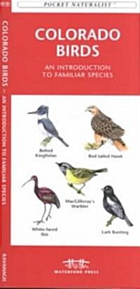 Colorado Birds: A Folding Pocket Guide to Familiar Species (Other, Revised)