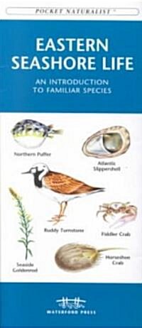 Eastern Seashore Life: An Introduction to Familiar Species (Hardcover)