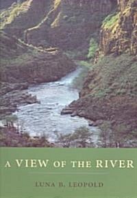 A View of the River (Paperback)