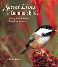 Secret Lives of Common Birds: Enjoying Bird Behavior Through the Seasons (Paperback)