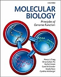 Molecular Biology (Paperback)