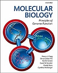 [중고] Molecular Biology (Paperback)